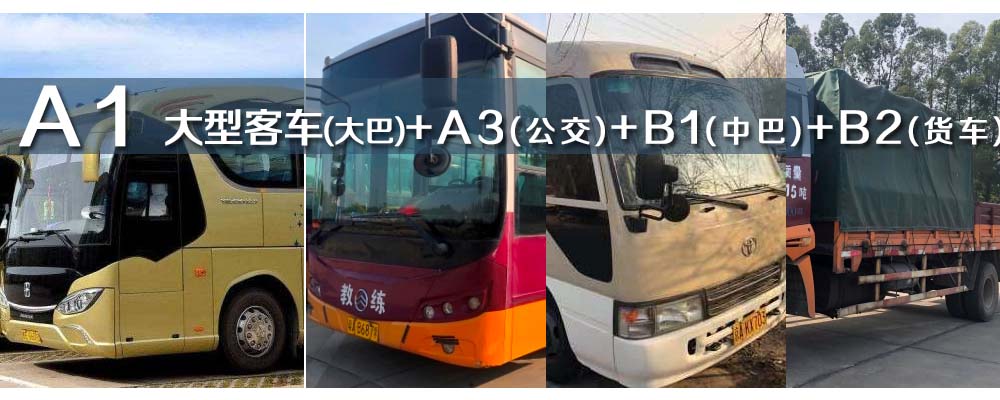 番禺考A1驾照