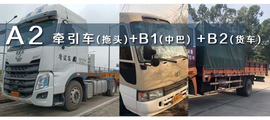 番禺考A2牵引车驾照